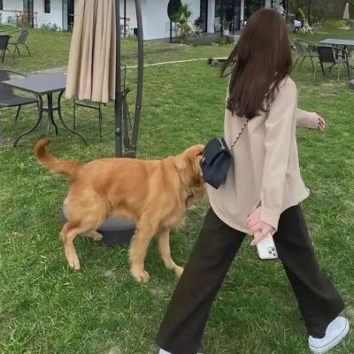 瓢虫少女第五季
